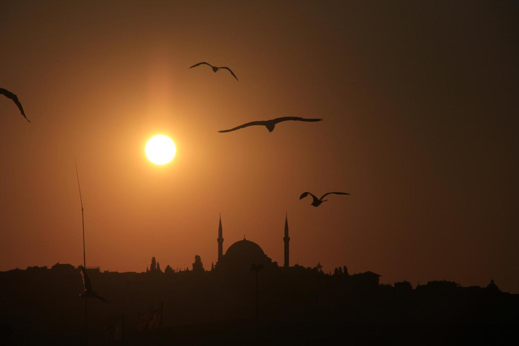 Konak Apart Hotel Istanbul Værelse billede